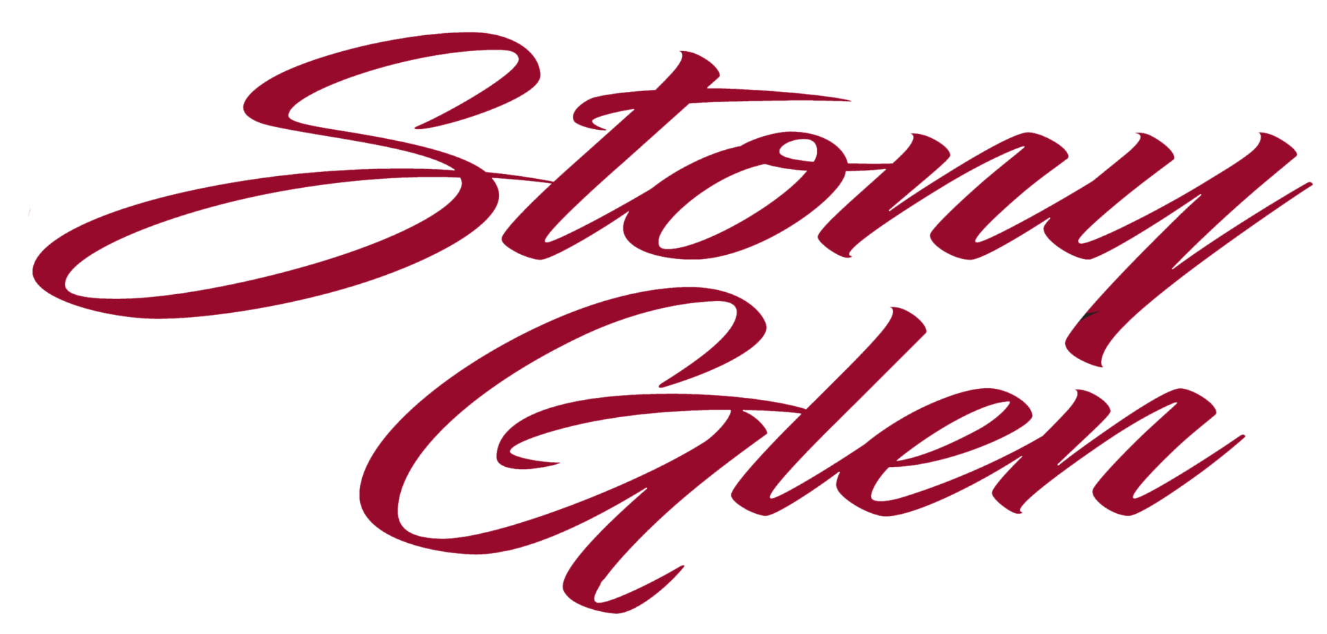 Stony-logo1