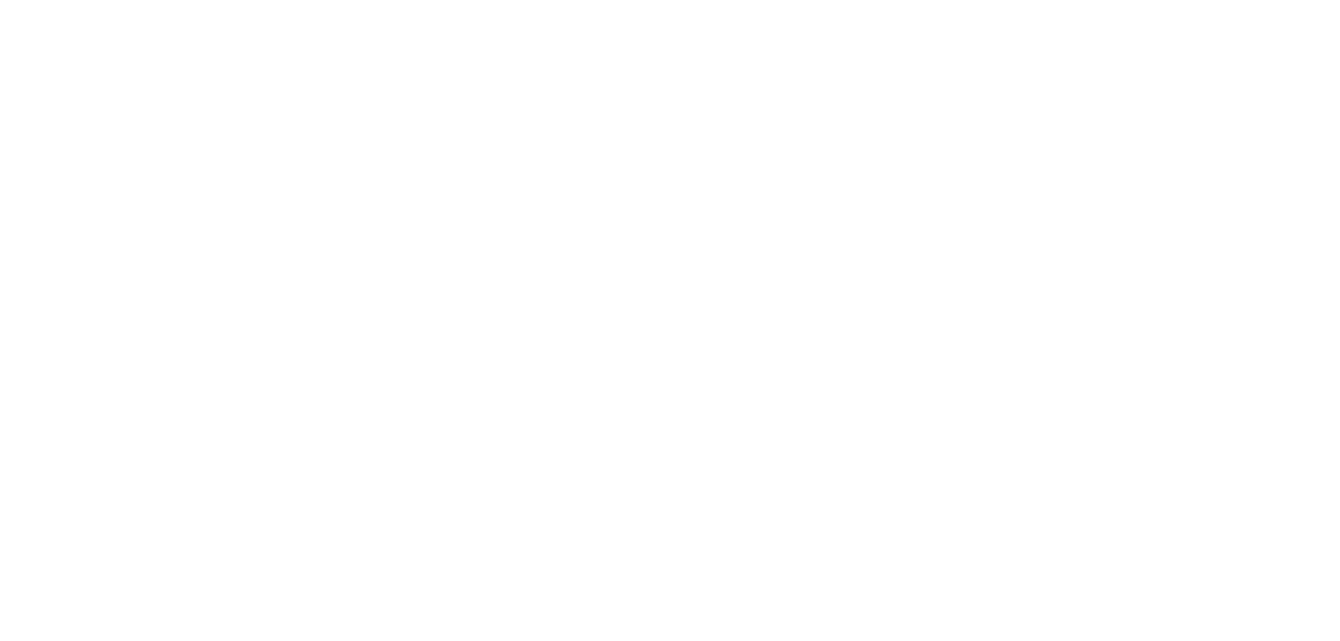Stony-logo2